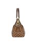 Louis Vuitton Damier Ebene Trevi Pm Top Handle, side view